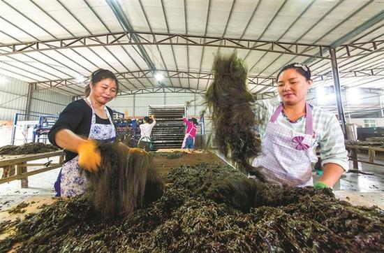 分拣烘干,加工精品。