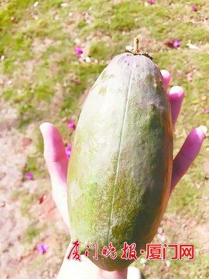ľ޵Ĺʵס